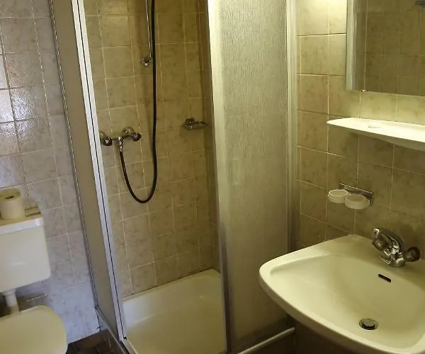 Schwarzer Adler Sillian