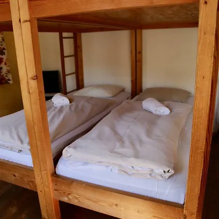 Schwarzer Adler Sillian