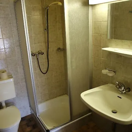 Schwarzer Adler Sillian