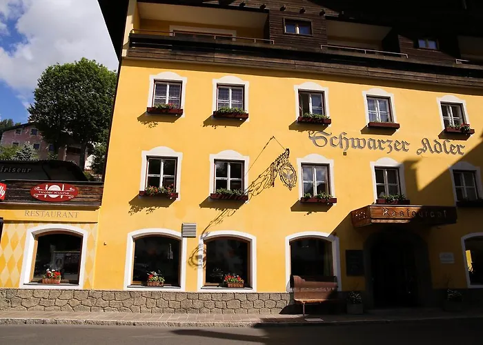 Hotel Schwarzer Adler 2*